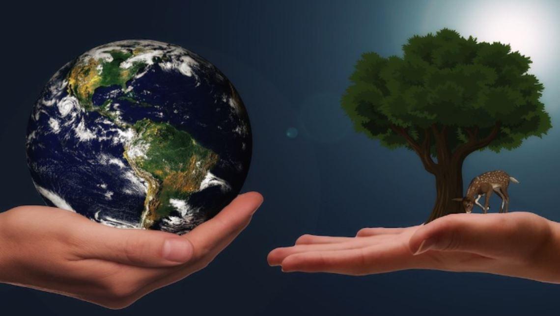 10 tipů, jak snížit plýtvání v domácnosti a udělat něco pro planetu