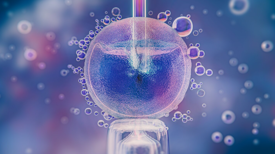 Embryologům pomáhá umělá inteligence