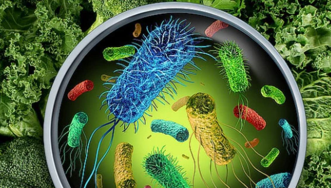 Hygiena v kuchyni