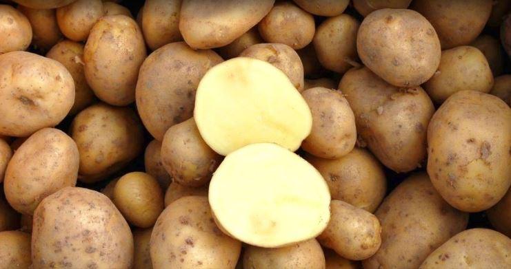 Brambory