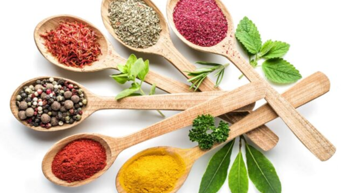 Léčivé bylinky v kuchyni: Od starověku až po moderní gastronomii