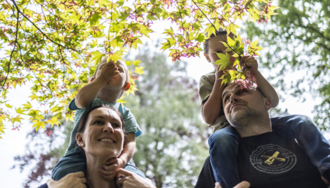 Pěstujte s námi (ne)obyčejné rodiny na Svitavsku!