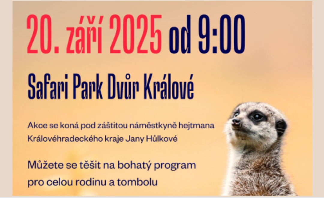 Týden pěstounství v Královéhradeckém kraji. Cílem je šířit osvětu i poděkovat pěstounům