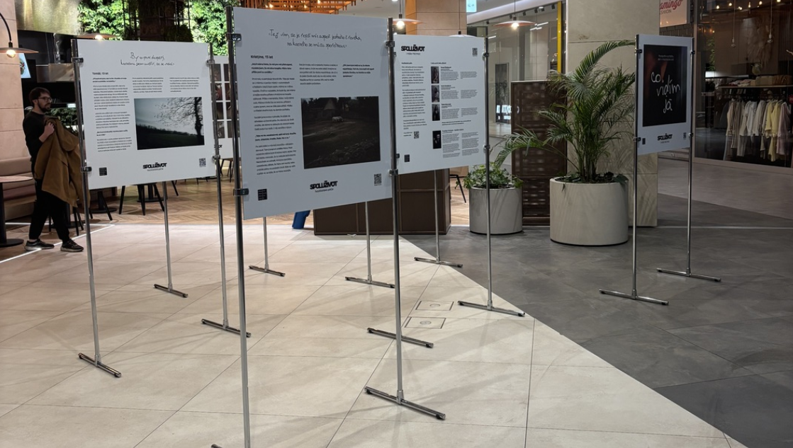 Výstava „Co vidím já“ v olomoucké Šantovce: Unikátní pohled na svět dětí v hostitelské péči