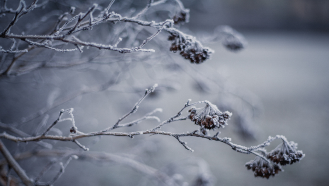 Zamrzá voda v pleti? Pravda o zimní skincare a proč pleť potřebuje víc než mastný krém