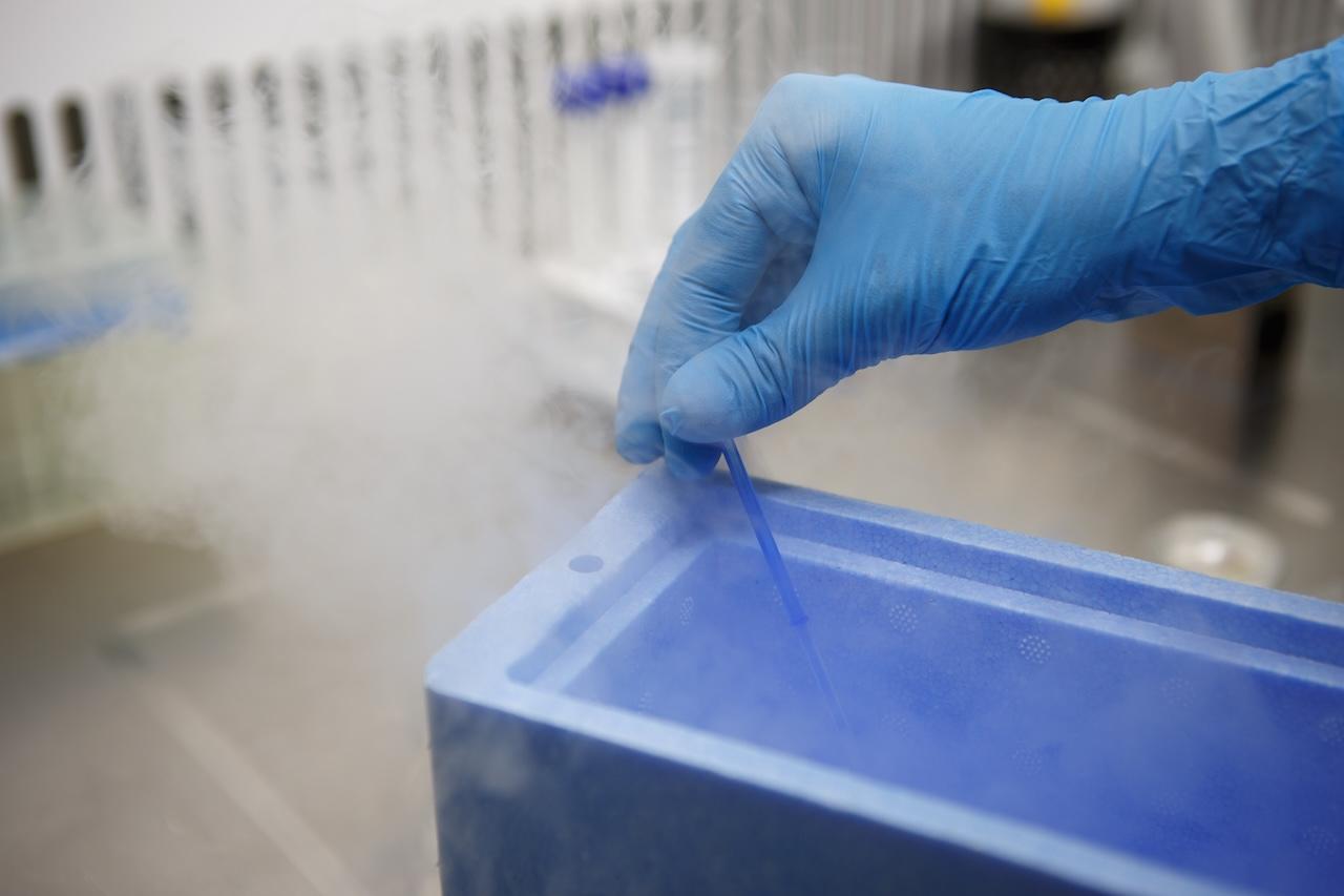 Zmrazení vajíček a spermií: Zadní vrátka, která vám dovolí žít vlastním tempem